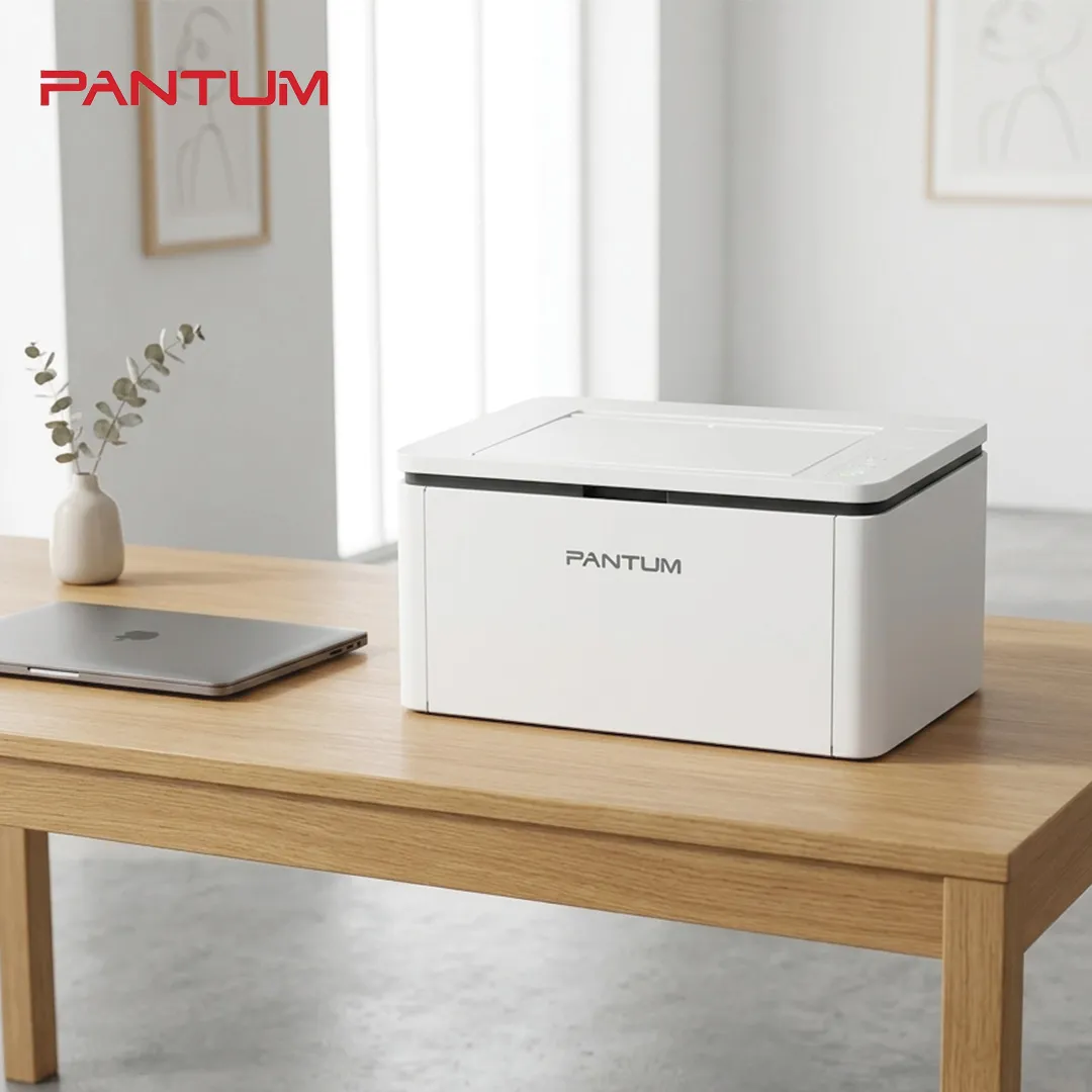 Pantum P2500